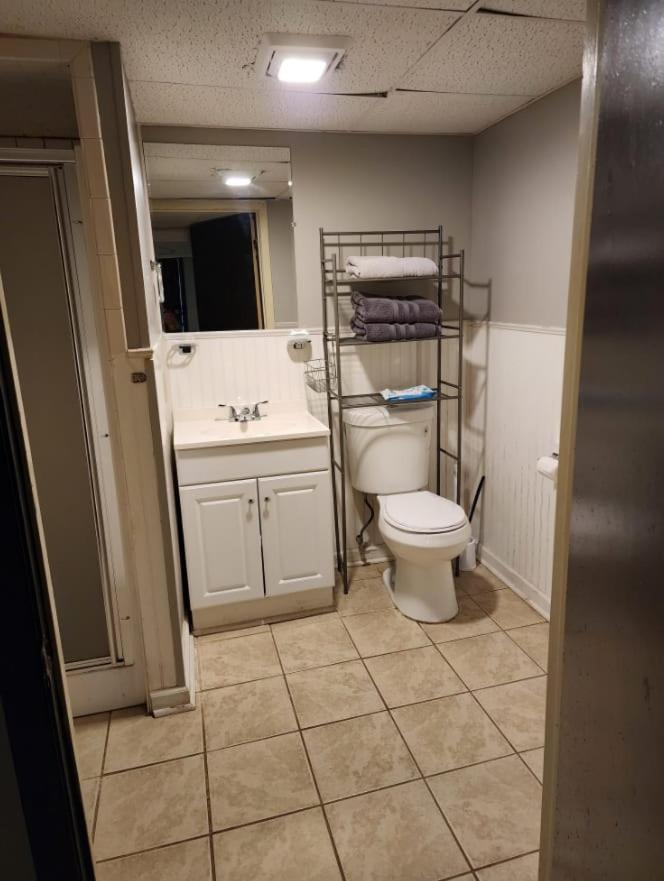 Basic And Efficient - Lansing Basement *